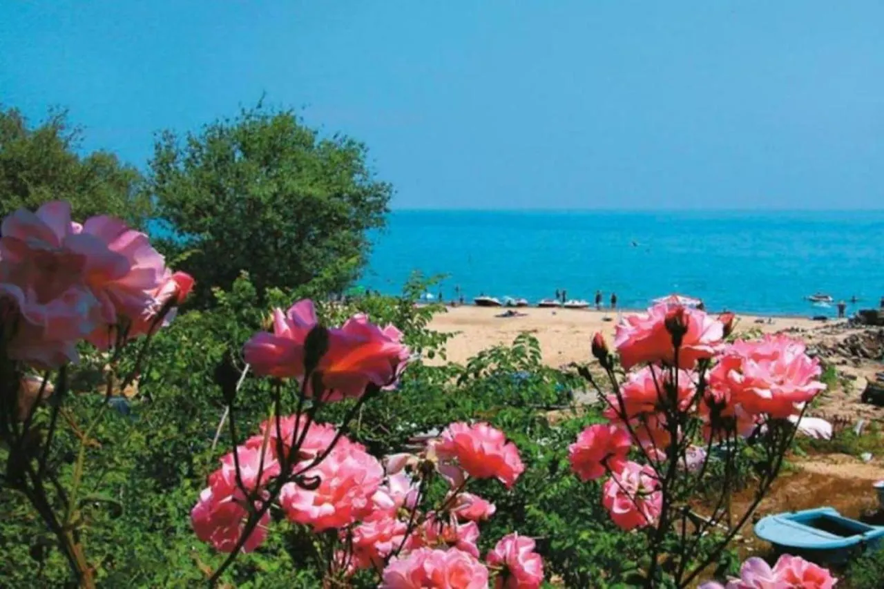 Avangard Apartment Μπουργκάς Βουλγαρία